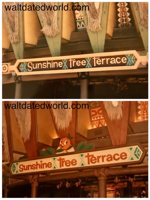 Sunshine Tree Terrace