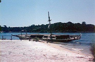 Walt Disney World Discovery Island shipwreck