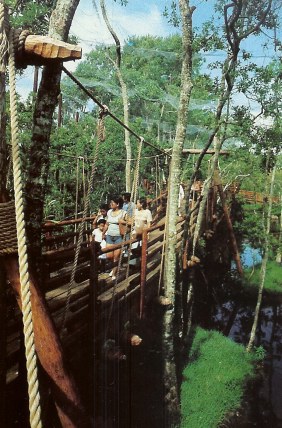 Walt Disney World Discovery Island Aviary