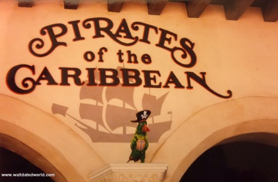 Pirate parrot