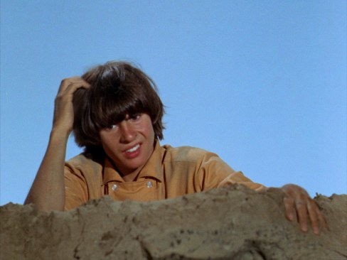 Monkees Davy Jones